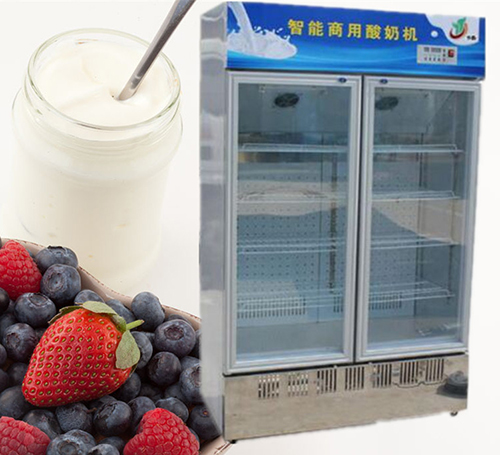 雙門(mén)上風(fēng)酸奶機.jpg